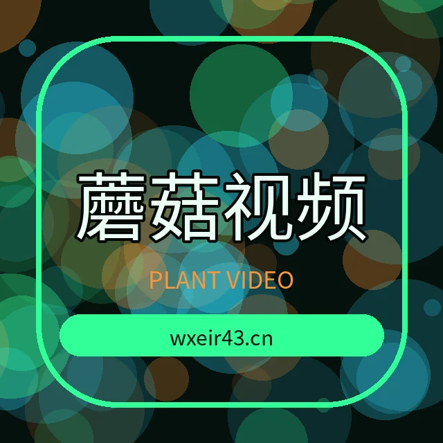蘑菇视频